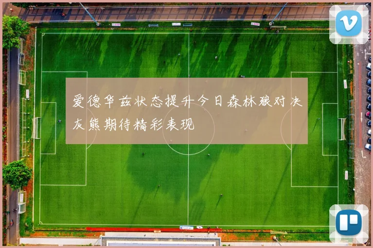 爱德华兹状态提升今日森林狼对决灰熊期待精彩表现