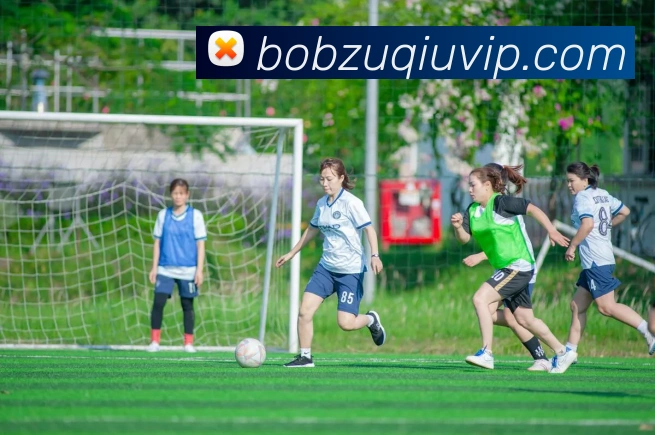 BOB体育APP 封面图